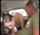 anal small tits skinny