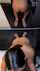 asian bbc blowjob
