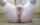 camgirl webcam amateur