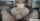 camgirl blonde blowjob