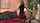 blonde blowjob big tits