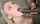 blowjob blonde interracial
