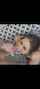 pornstar cumshot facial