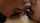 lesbians brazilian orgy