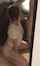 blowjob brunette mirror