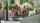 orgy evilagel group