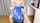 cosplay, genshin impact, miyuki, blowjob, blue hair