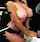 big tits natural tits big boobs