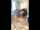 asian blowjob hot