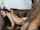 camgirl amateur threesome