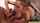 teen blowjob cum