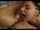cumshot facial pussy