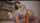 camgirl asian anal
