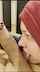 dark hair blowjob big dick