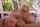 big ass big tits milf