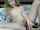 blonde camgirl dildo