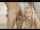 blonde blowjob amateur