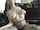 amateur blonde tatoo