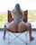chair big ass blonde