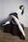 stoya schoolgirl brunette