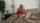 cheating wife cuckold
