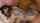 jav asian japanese