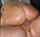big ass pawg oil