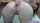 anal camgirl gape