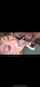 asian bbc cumshot