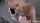 cuckold cheatcam cheat
