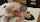 jav japanese asian