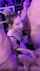 blowjob oral blonde
