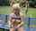 blonde big tits doggy
