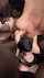 bbc interracial blowjob
