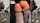 cowgirl big ass gym