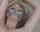 bdsm blonde dckflr