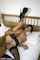 amateur anal milf