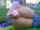 camgirl anal public