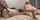 bbw orgy couples