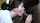 brunette dark hair black hair