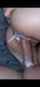 amateur creampie cum