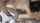 dark hair asian threesome