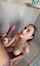 blonde shower blowjob