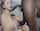 amateur interracial blonde