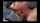 orgasm sex pussy licking