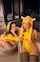 pikachu cosplay costume