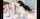 swingers amateur foursome