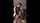 amateur ebony interacial