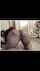 camgirl latina doggystyle