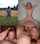 amateur milf cumslut